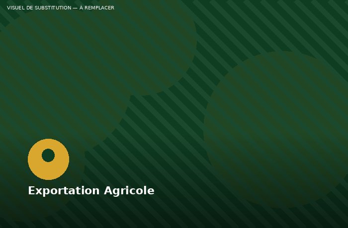 Exporter Ses Produits Agricoles Depuis Le Bénin : Les Bases