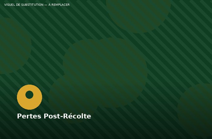Réduire les pertes post-récolte