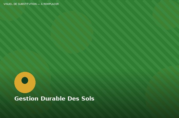 Intervention SLAC SARL sur le terrain